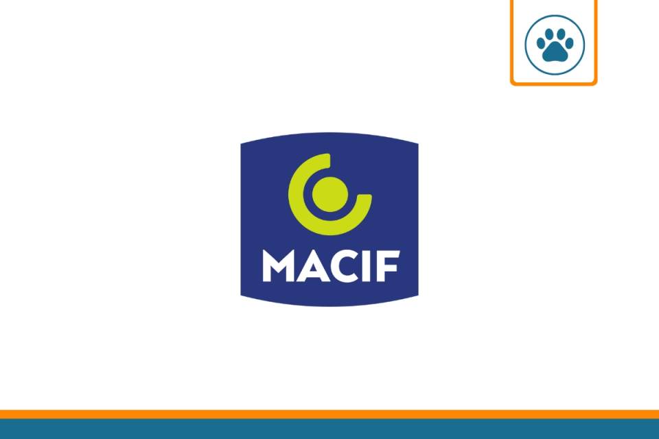 macif assurance auto