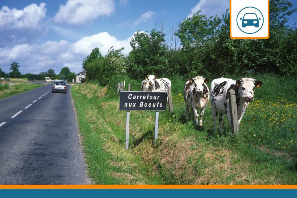 assurance auto Normandie