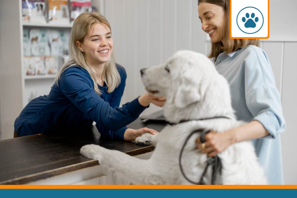 Diarrhée chez le chien