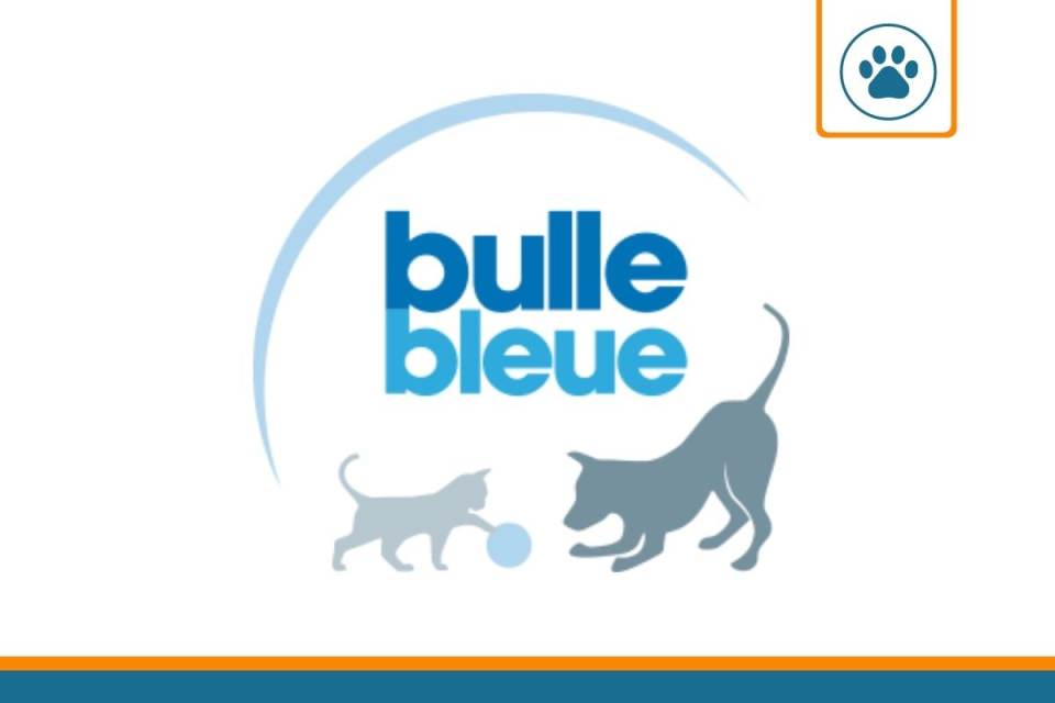 avis sur la mutuelle chien / chat bulle bleue