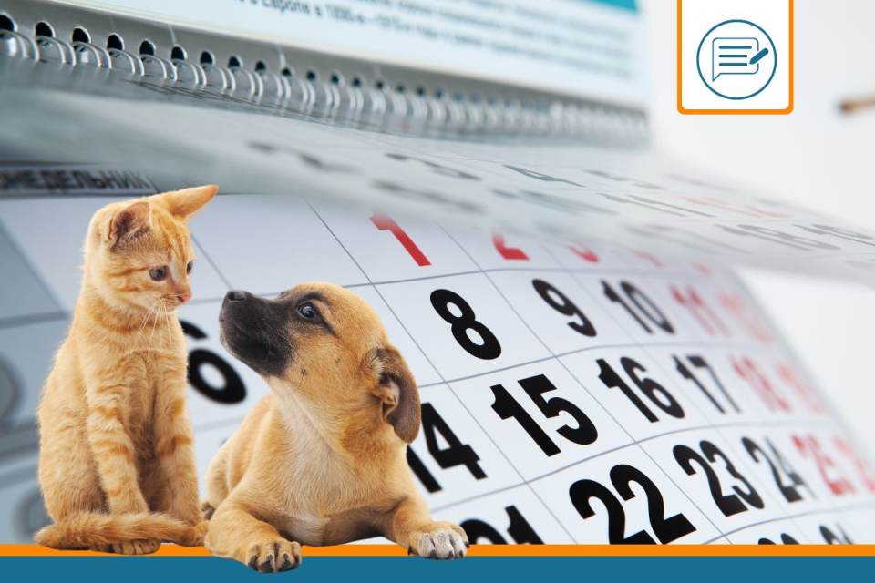 calendrier lettre nom animaux