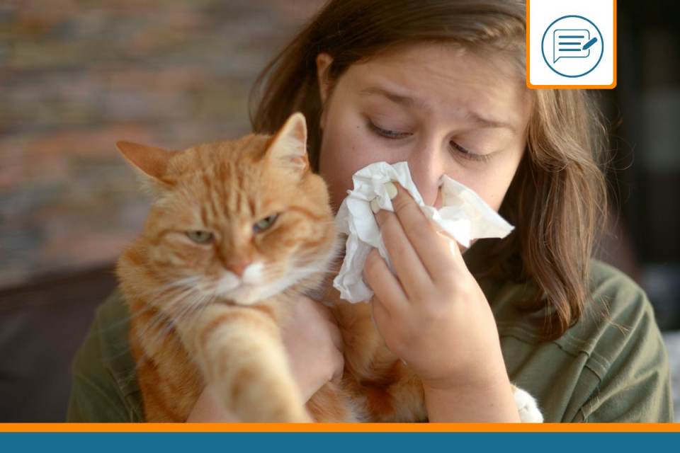 chat hypoallergénique