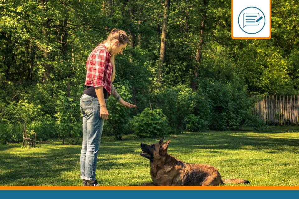 comportementaliste chien