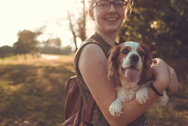 comment faire garder son animal pendant les vacances ou le travail