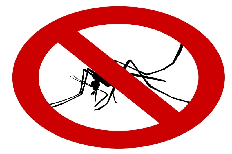 moustiques et nuisibles
