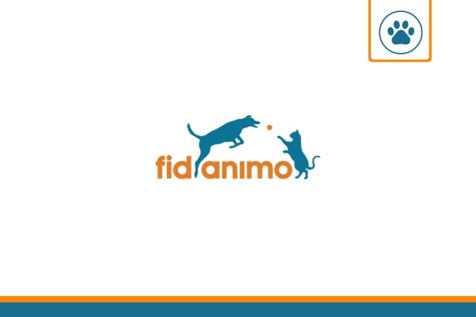 fidanimo assurance chien et chat