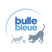 bulle bleue