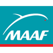 Maaf