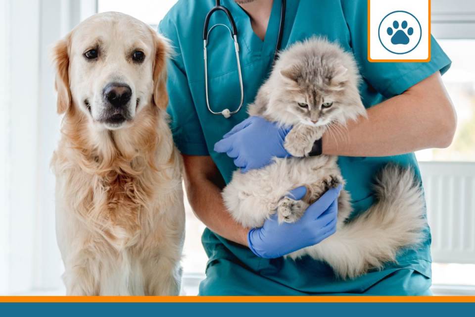 les garanties de la mutuelle animaux