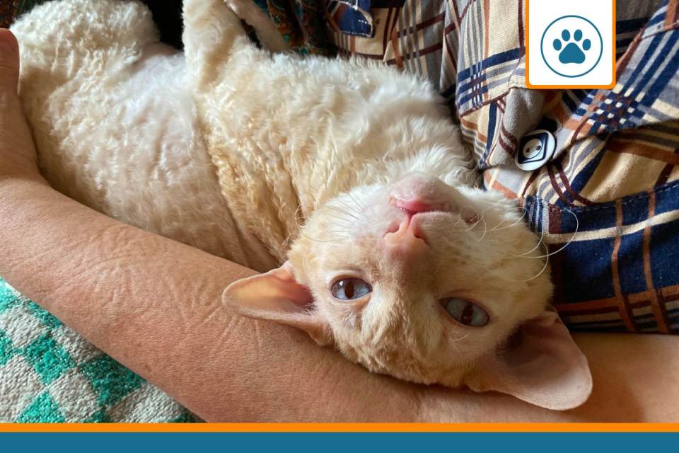 Mutuelle pour PUDELKATZE