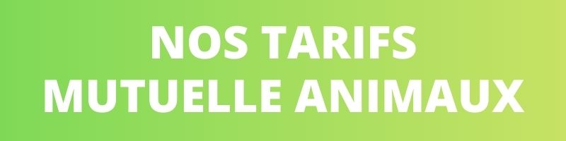 nos prix affichés en mutuelle animaux