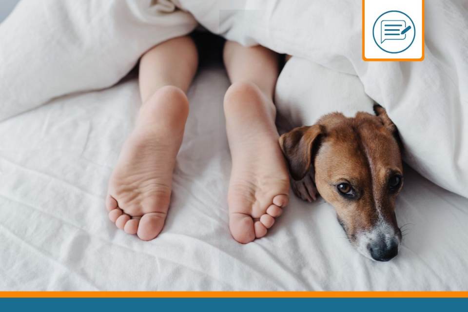 Où doit dormir un chien ?