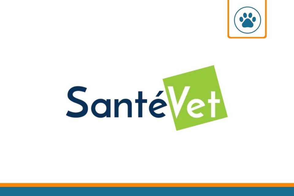 avis santévet assurance animaux chien et chat