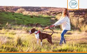 accidents laisse tirage chien
