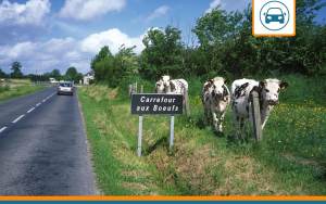 assurance auto Normandie