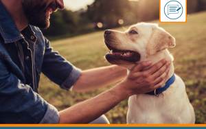 Attestation de cession d'un chien