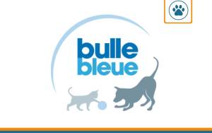 avis sur la mutuelle chien / chat bulle bleue