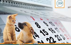 calendrier lettre nom animaux