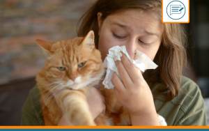chat hypoallergénique