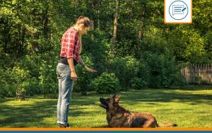 comportementaliste chien