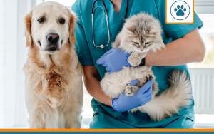 les garanties de la mutuelle animaux