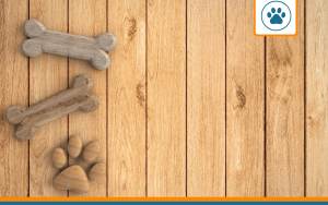 Mutuelle pour Smous des Pays-Bas